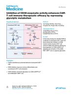 Inhibition of CD38 enzymatic activity enhances CAR-T cell immune-therapeutic efficacy by repressing glycolytic metabolism