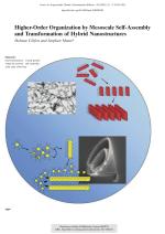 Higher-Order Organization by Mesoscale Self-Assembly and Transformation of Hybrid Nanostructures