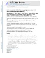 De novo assembly of the Aedes aegypti genome using Hi-C yields chromosome-length scaffolds