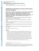 Oligodendrocyte heterogeneity in the mouse juvenile and adult central nervous system