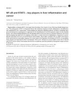 NF-κB and STAT3 – key players in liver inflammation and cancer