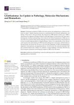 Glioblastoma: An Update in Pathology, Molecular Mechanisms and Biomarkers