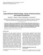 Lignocellulose biotechnology: issues of bioconversion and enzyme production