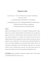 Magnetic light