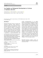 An Update on Stiripentol Mechanisms of Action: A Narrative Review