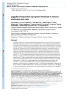 piggyBac transposition reprograms fibroblasts to induced pluripotent stem cells