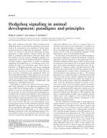 Hedgehog signaling in animal development: paradigms and principles