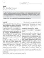 Wnt signaling in cancer