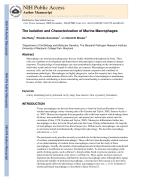 The Isolation and Characterization of Murine Macrophages