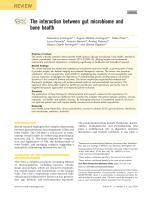 The interaction between gut microbiome and bone health