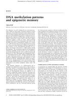 DNA methylation patterns and epigenetic memory