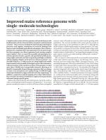 Improved maize reference genome with single-molecule technologies