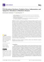Gut Microbiota Dysbiosis, Oxidative Stress, Inflammation, and Epigenetic Alterations in Metabolic Diseases