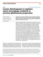 Lactate dehydrogenase A regulates tumor-macrophage symbiosis to promote glioblastoma progression