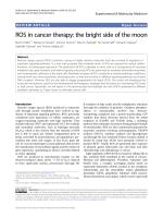 ROS in cancer therapy: the bright side of the moon