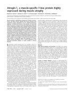 Atrogin-1, a muscle-specific F-box protein highly expressed during muscle atrophy