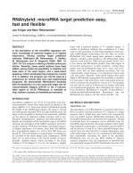 RNAhybrid: microRNA target prediction easy, fast and flexible
