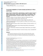 Convergent adaptation of human lactase persistence in Africa and Europe