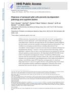 Clearance of senescent glial cells prevents tau-dependent pathology and cognitive decline