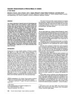 Genetic Determinants of Bone Mass in Adults: A Twin Study