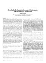 Free Radicals, Oxidative Stress, and Antioxidants in Human Health and Disease