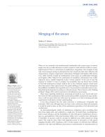 Merging of the senses