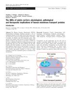 The ABCs of solute carriers: physiological, pathological and therapeutic implications of human membrane transport proteins