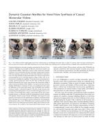 Dynamic Gaussian Marbles for Novel View Synthesis of Casual Monocular Videos