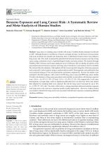 Benzene Exposure and Lung Cancer Risk: A Systematic Review and Meta-Analysis of Human Studies