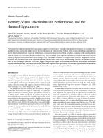 Memory, Visual Discrimination Performance, and the Human Hippocampus