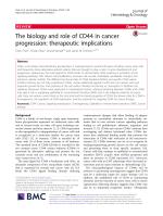 The biology and role of CD44 in cancer progression: therapeutic implications