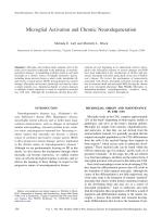 Microglial Activation and Chronic Neurodegeneration