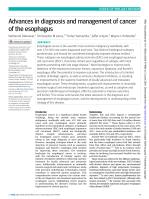 Advances in diagnosis and management of cancer of the esophagus