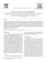 Selective laser melting of iron-based powder