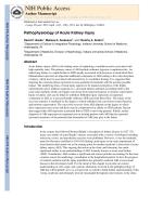 Pathophysiology of Acute Kidney Injury
