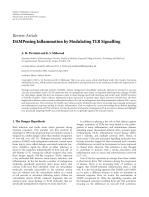 DAMPening Inflammation by Modulating TLR Signalling