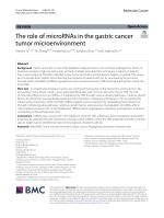 The role of microRNAs in the gastric cancer tumor microenvironment