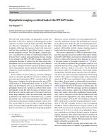 Glymphatic imaging: a critical look at the DTI-ALPS index