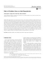 Effect of Oxidative Stress on Male Reproduction