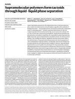Supramolecular polymers form tactoids through liquid–liquid phase separation