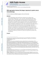 RNA aggregates harness the danger response for potent cancer immunotherapy