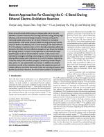 Recent Approaches for Cleaving the C—C Bond During Ethanol Electro-Oxidation Reaction