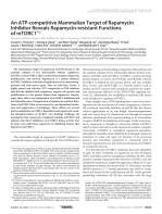 An ATP-competitive Mammalian Target of Rapamycin Inhibitor Reveals Rapamycin-resistant Functions of mTORC1