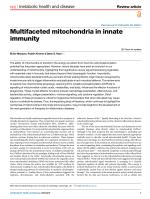 Multifaceted mitochondria in innate immunity