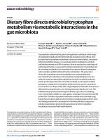 Dietary fibre directs microbial tryptophan metabolism via metabolic interactions in the gut microbiota