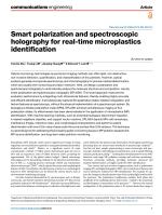 Smart polarization and spectroscopic holography for real-time microplastics identification