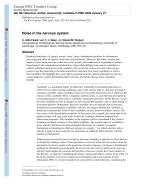 Noise in the nervous system
