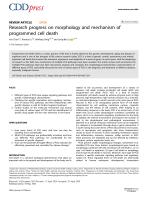 Research progress on morphology and mechanism of programmed cell death