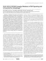 ULK1-ATG13-FIP200 Complex Mediates mTOR Signaling and Is Essential for Autophagy