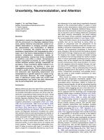 Uncertainty, Neuromodulation, and Attention